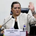 INE ve inviable voto en el extranjero en elección judicial de 2025