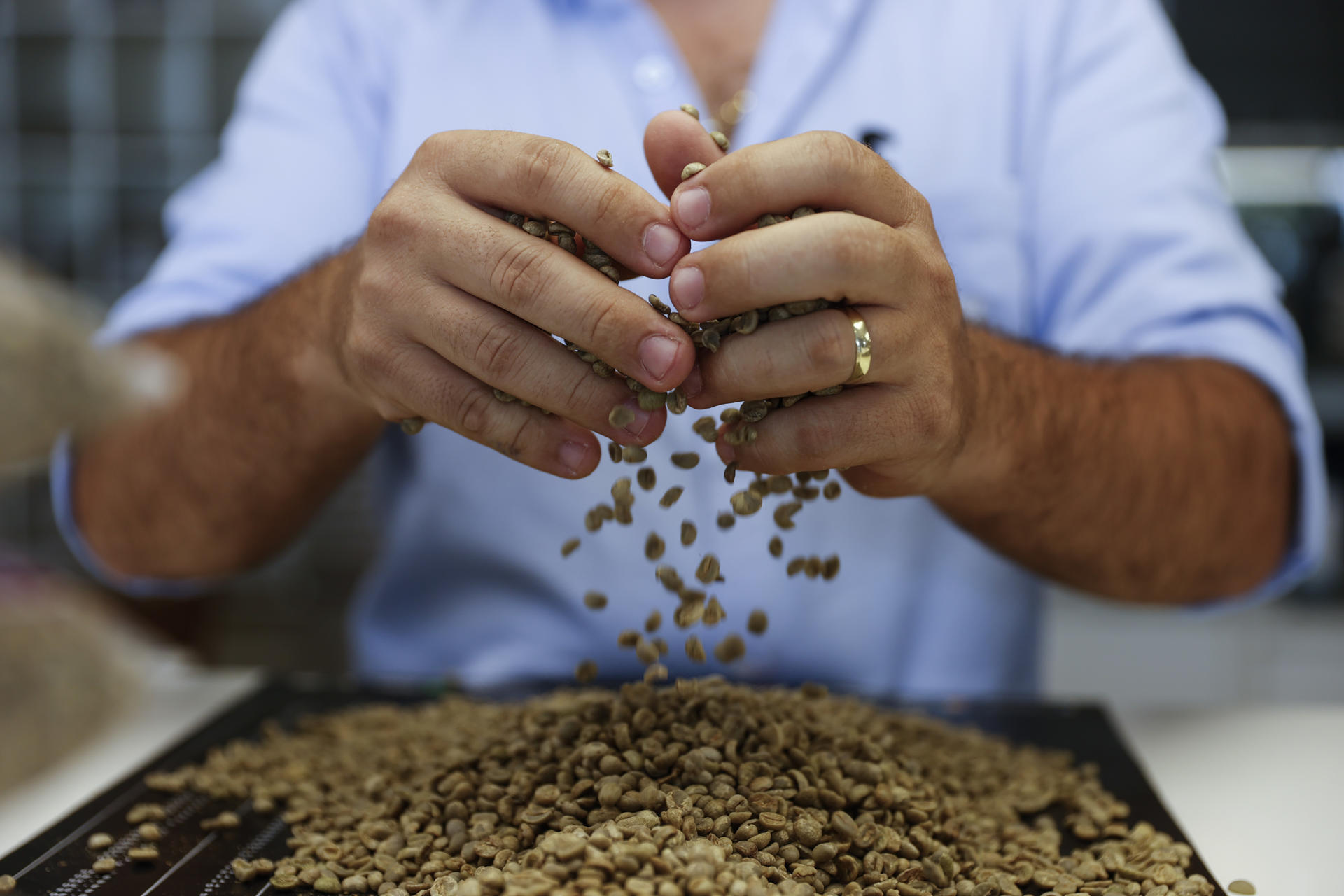 Emergencia climática y costos elevan precios del café y desafían a productores