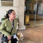 Denuncian discriminación en Hotel Safi contra mujer con discapacidad visual y su perro guía