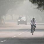 OMS alerta que la emergencia climática es “fundamentalmente una crisis de salud”