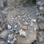 Colectivo Guerreros Buscadores de Jalisco halla restos óseos y presuntos hornos crematorios en Tlaquepaque