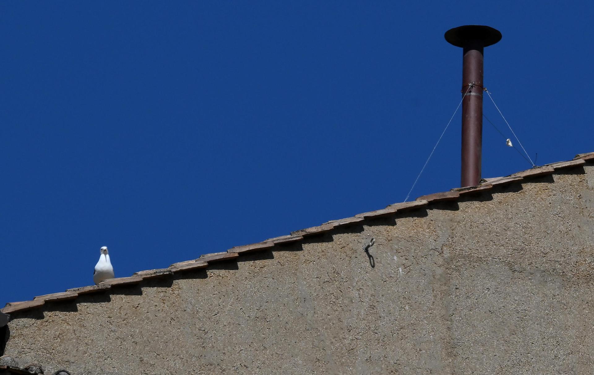chimenea-en-la-capilla-sixtina-del-vaticano Instalan la chimenea en la Capilla Sixtina para el cónclave - chimenea-en-la-capilla-sixtina-del-vaticano