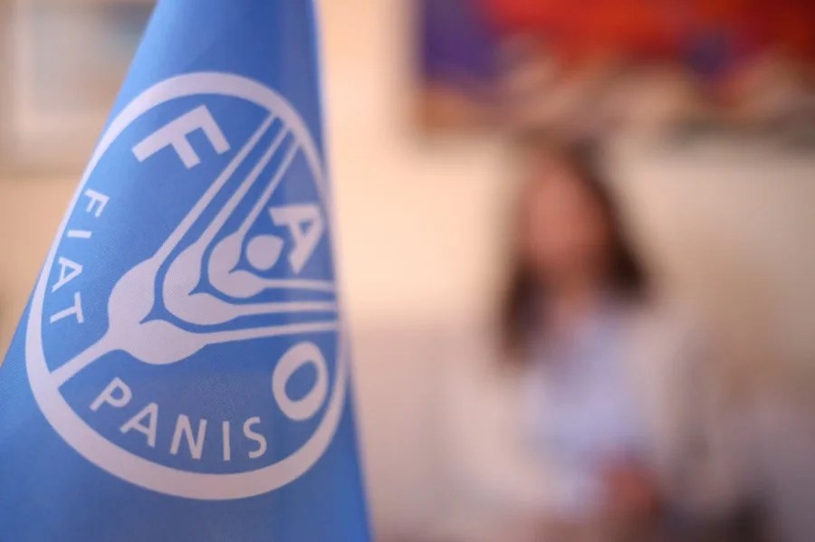 ame1036-bolivia-alimentos