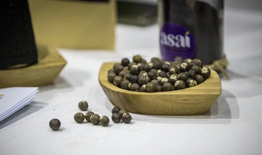 ame7552-bolivia-indigenas