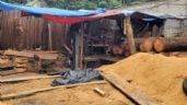 Foto ilustrativa de la nota titulada: Clausuran aserradero ilegal en Huitzilac, Morelos; aseguran madera y maquinaria